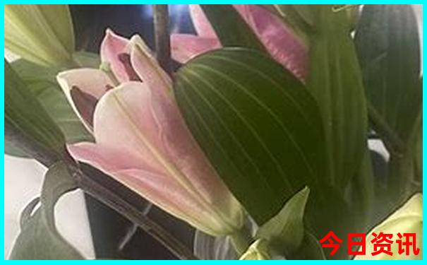 资阳出发自驾游适合去哪里