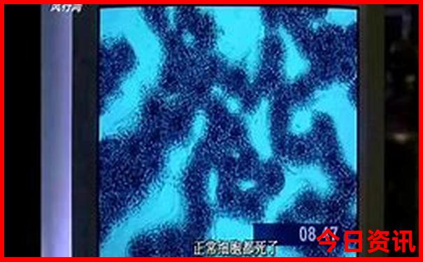 全新内幕全新发布77777788888全新王中王全新发布正版-澳门管家婆100%精准